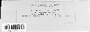 Puccinia helianthi image