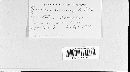 Puccinia mesomajalis image