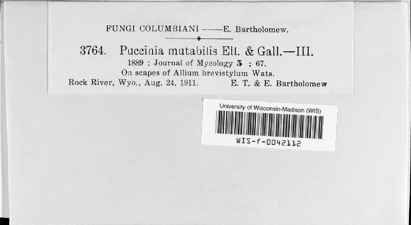Puccinia mutabilis image