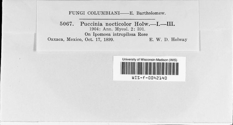 Puccinia nocticolor image