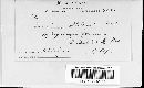 Image of Puccinia obliterata
