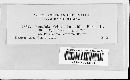 Puccinia polygoni-amphibii image