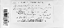 Puccinia polygoni-amphibii image