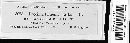 Puccinia recondita image
