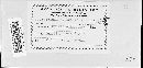 Puccinia recondita image