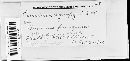 Puccinia recondita image