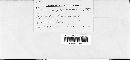Puccinia recondita image