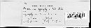 Puccinia recondita image