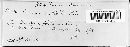 Puccinia thlaspeos image