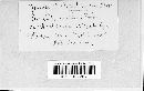 Puccinia xanthii image