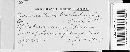 Pucciniastrum epilobii image