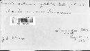 Pucciniastrum vaccinii image