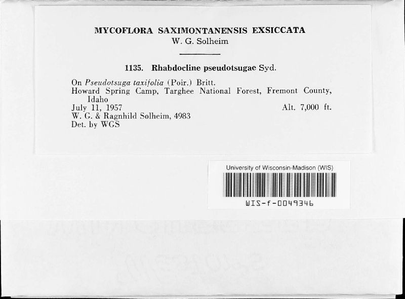 Rhabdocline image