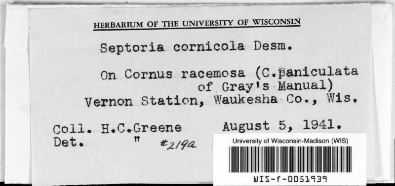 Septoria cornicola image