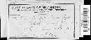 Septoria musiva image