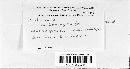 Image of Sphaceloma
