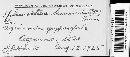 Sphaerotheca humuli image