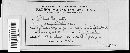Sphaerotheca mors-uvae image