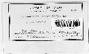 Sphaerotheca pannosa image