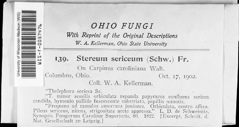 Stereum striatum image
