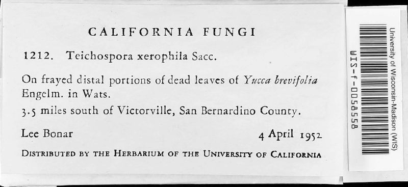 Teichospora xerophila image