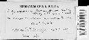 Tolyposporium globuligerum image