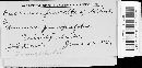 Tranzschelia fusca image