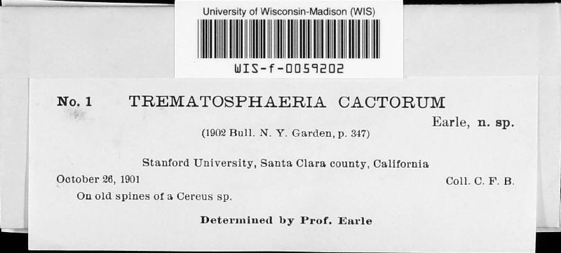 Trematosphaeria cactorum image