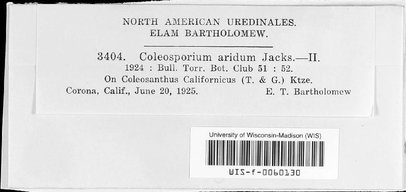 Coleosporium aridum image