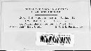 Coleosporium aridum image