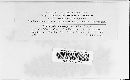 Uredinopsis pteridis image