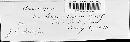 Image of Uromyces