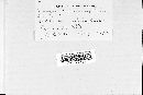 Uromyces euphorbiae image