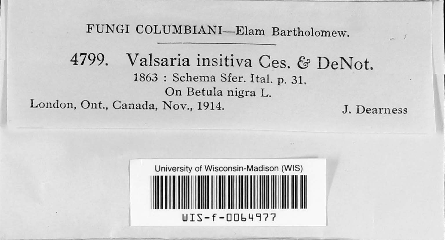Valsaria image