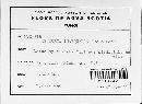Venturia inaequalis image