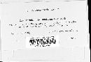 Image of Aecidium rhytismoideum