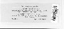 Image of Arthrinium caricicola