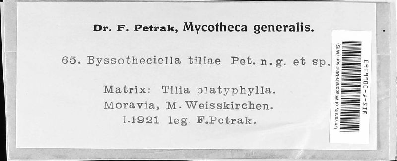 Byssotheciella image