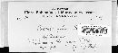 Image of Infundibulicybe gibba