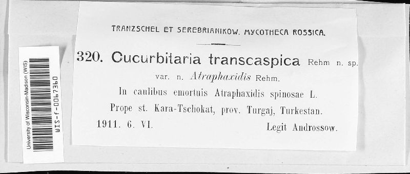 Cucurbitaria transcaspica image