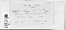 Coleosporium senecionis image