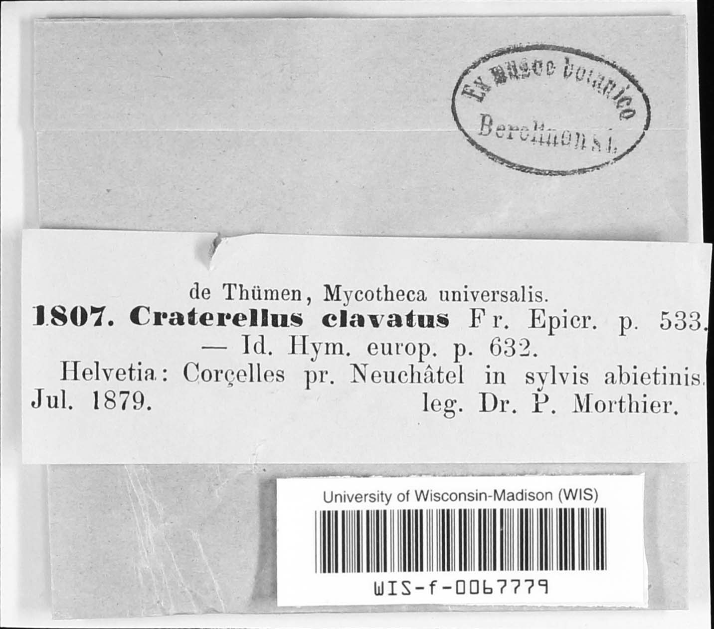Gomphus clavatus image