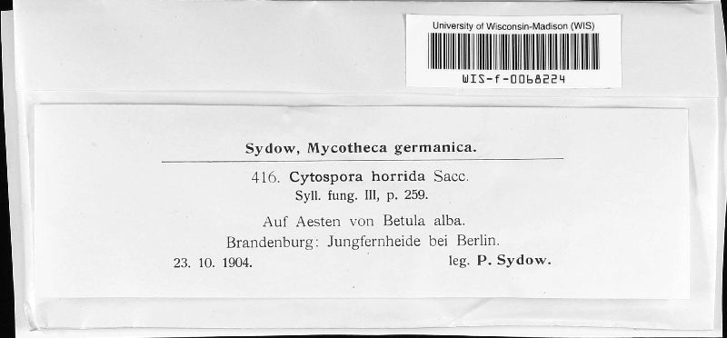 Cytospora horrida image