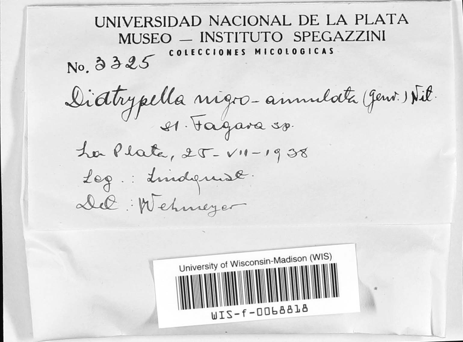 Diatrypella favacea image
