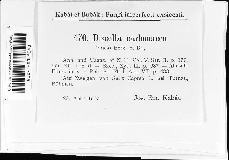 Discella image