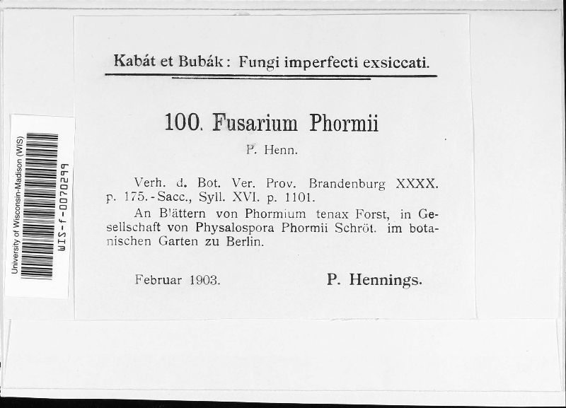 Gloeosporium phormii image