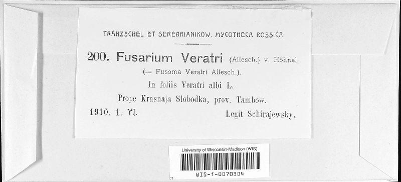 Gloeosporium veratri image