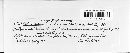 Gloeosporium nervisequum image