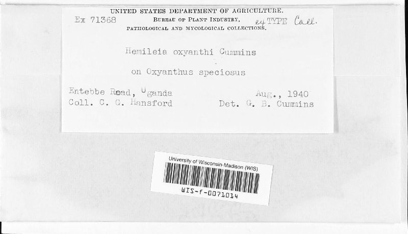 Hemileia oxyanthi image