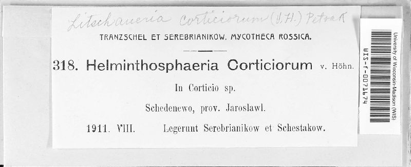 Helminthosphaeria image